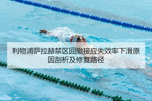 li-wu-pu-sa-la-he-jin-qu-hui-che-jie-ying-shi-xiao-lv-xia-hua-yuan-yin-pou-xi-ji-xiu-fu-lu-jing-2-116.jpg